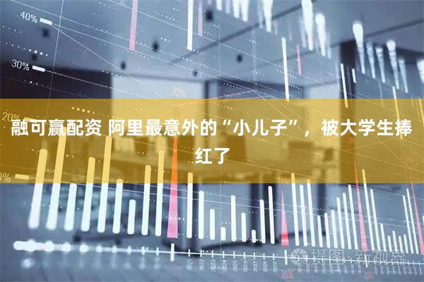 融可赢配资 阿里最意外的“小儿子”，被大学生捧红了