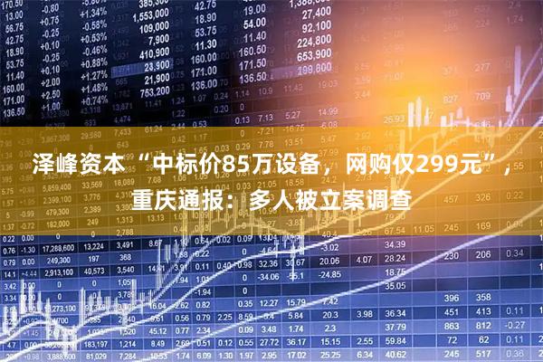 泽峰资本 “中标价85万设备，网购仅299元”，重庆通报：多人被立案调查