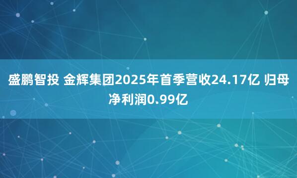 盛鹏智投 金辉集团2025年首季营收24.17亿 归母净利润0.99亿