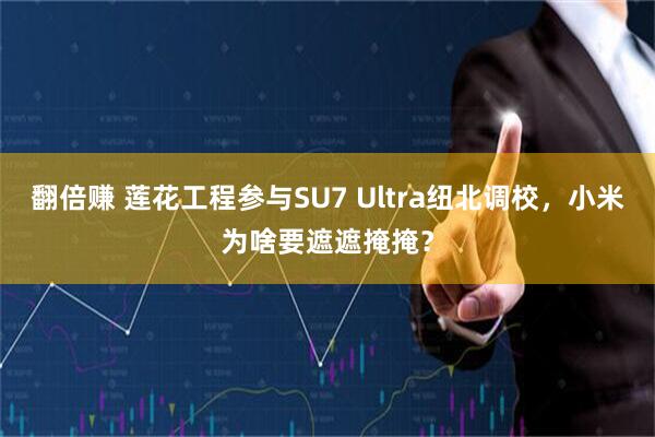 翻倍赚 莲花工程参与SU7 Ultra纽北调校，小米为啥要遮遮掩掩？