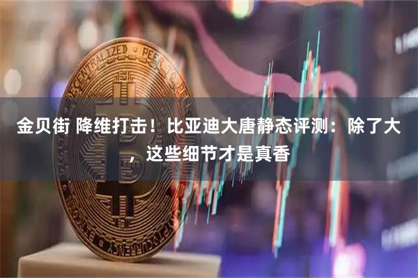 金贝街 降维打击！比亚迪大唐静态评测：除了大，这些细节才是真香